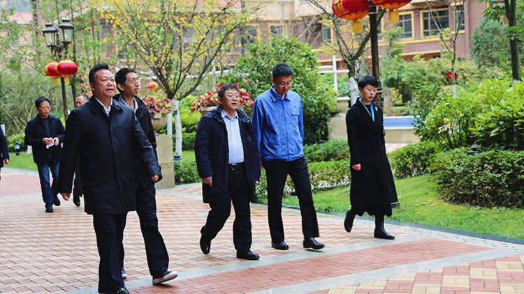 202011081604807135135446.jpg 33c6107884d84939e2c0a2661a458b4.jpg