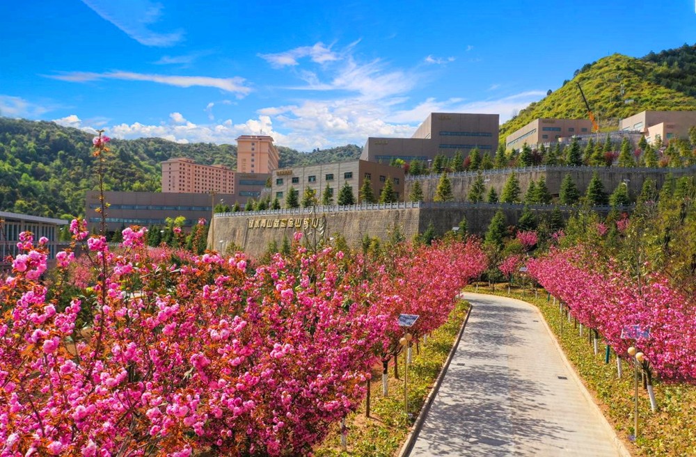 202303041677890279304417.jpg 4.jpg