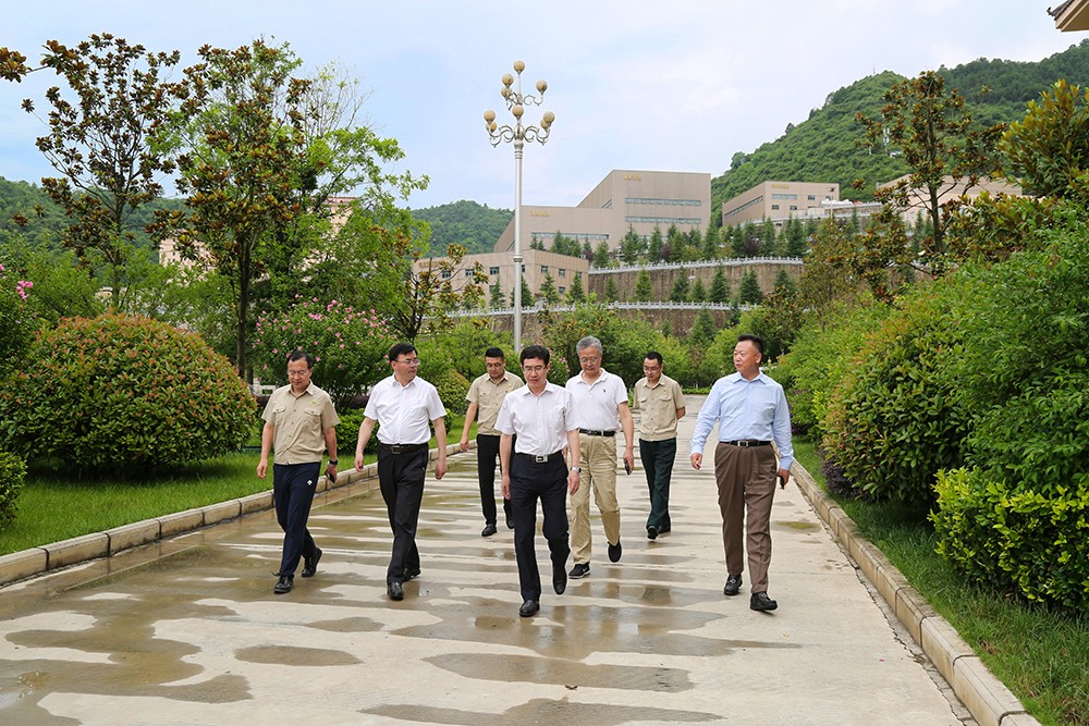 202308031691024120639700.jpg 01.jpg