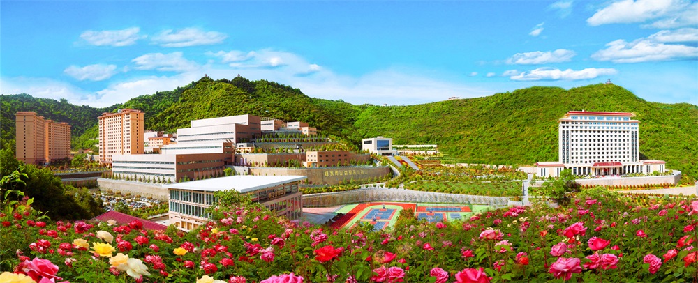 202401091704790358264627.jpg 三季有花、四季常青的金徽礦區(qū)-p2.jpg