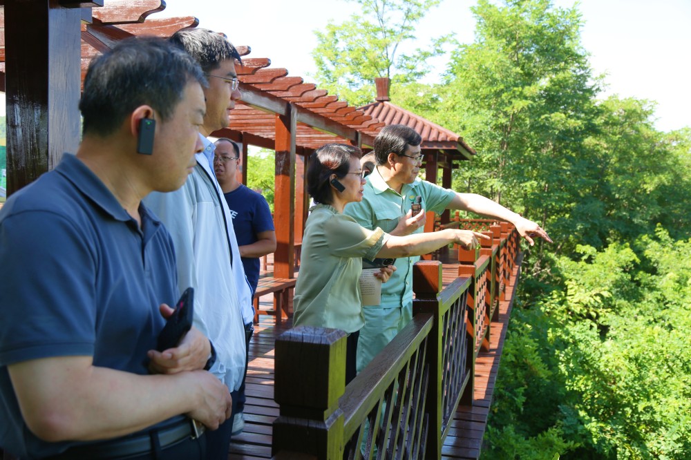 202406251719306277144728.jpg 10.jpg