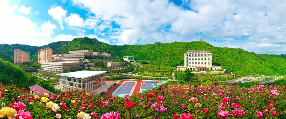 202408281724809201493229.jpg 10.jpg