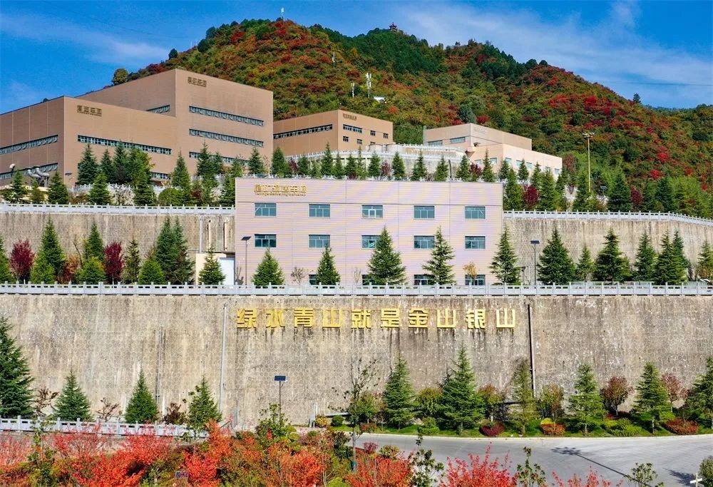 202411221732235066208396.jpg 640 (5).jpg